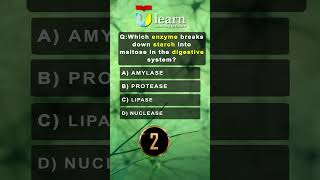 Which One Breaks Down Starch into Maltose  Amylase Protease Lipase Nuclease Explained [upl. by Drofxer]