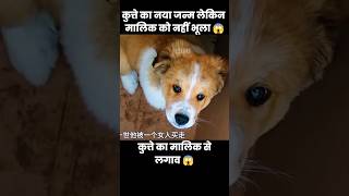 कुत्ते ने नया जन्म लिया लेकिन मालिक को नहीं भुला पाया 😱  short dog movie cartoon [upl. by Oettam]