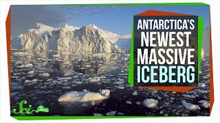 Should You Worry About Antarcticas New Massive Iceberg [upl. by Ardeed551]