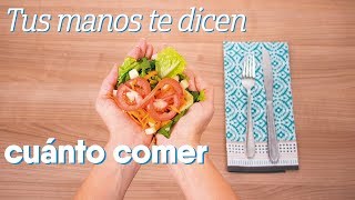 Porciones del plato del buen comer directamente de la palma de tu mano [upl. by Geminian]