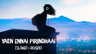 Yaen Ennai Pirindhaai SlowedReverb Song Lyrics  Sid Sriram [upl. by Akinimod]