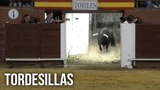 Tordesillas 2024 Campeonato de Cortes con Toros Bravos [upl. by Atirehs]