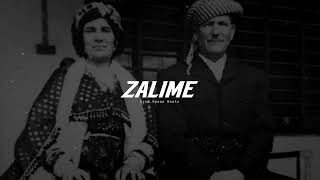 Kurdish Trap Remix  Le Zalime  ProdPexas Beats [upl. by Ahsinav725]