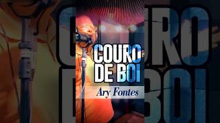 COURO DE BOI  Ary Fontes sertanejoraiz [upl. by Amitie]