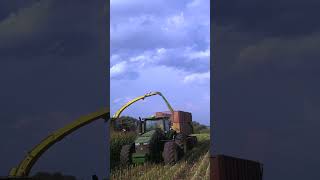 John Deere Corn Harvester Expert Efficiency 🌽🚜 [upl. by Almeta]