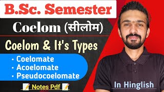 Coelom And Its Types  Bsc Semester  By Dadhich Sir [upl. by Kallman]