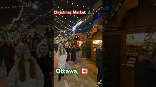 Ottawas HIDDEN GEM Christmas Market Only Until December 24 [upl. by Anahsirk]