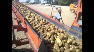 Miyanaga Farms Pitting Potatoes Harvest 2012 [upl. by Teriann241]