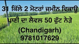 31 kille land for sale 2 moter connection near new Chandigarh for more information call 9781017629 [upl. by Asirahc]