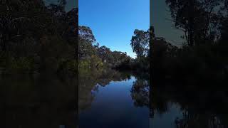 A billabong in Aussie outback [upl. by Eyma]