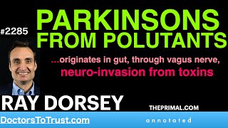 RAY DORSEY t2  PARKINSONS FROM POLLUTANTS in gut through vagus nerve neuroinvasion from toxins [upl. by Manly876]