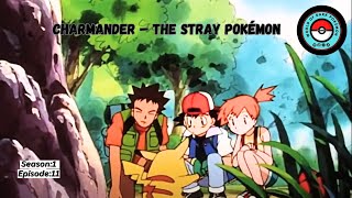 Charmander – The Stray Pokémon  Pokémon Season 1 Episode 11 [upl. by Morentz]