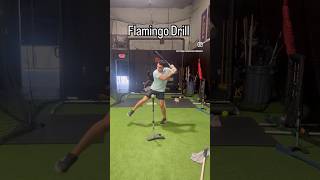 Flamingo Drill For Hitters [upl. by Nirot333]