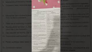 Prokaryotic vs Eukaryotic Cells The Ultimate Comparison [upl. by Surad]