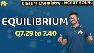 Equilibrium Class 11 Chemistry  Chapter 7 Ncert Solutions Questions 2940 [upl. by Ahsiret653]