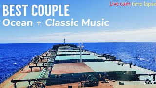 Ocean 🌊  Classic Music 🎵 BEST COUPLE  Sea Life  Time lapse [upl. by Ainex]