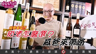 甜酒怎麼選？威爸來帶路【威爸喝果汁 Wills Juice Bar 43】 [upl. by Maybelle568]