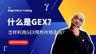 🚧如何利用GEX预判市场方向 ？什么是GEX？ 利用GEX日交易 怎样使用Tradytics的GEX  Tradytics教学 [upl. by Arinaid]