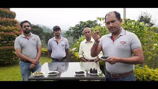 Ceylon Artisanal Tea Association Social Impact [upl. by Eeramit976]