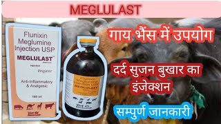 Meglulast Inj uses in veterinary  flunixin meglumine [upl. by Paluas]