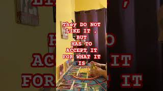 tarot love tarotreading divinemasculine divinefeminine karmic twinflame soulmate leo [upl. by Onaireves]