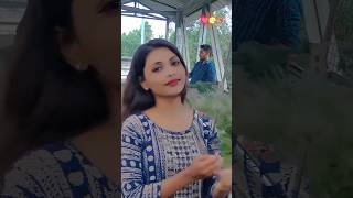 Prem Hei jiba ytshorts sambalpurisong sambalpuristatus shortsvideo umakantabariksambalpuri [upl. by Heidi]