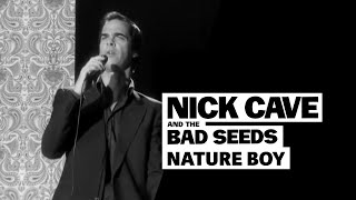 Nick Cave amp The Bad Seeds  Nature Boy [upl. by Heida220]