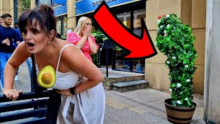 BEST OF THE BEST BUSHMAN PRANK REACTIONS MUST WATCH [upl. by Attela]