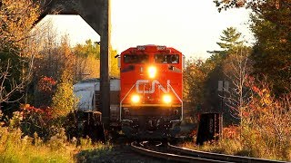 CN Trains in Washago [upl. by Niveg]