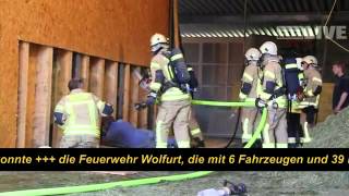 Wolfurt Großeinsatz für Feuerwehr [upl. by Yeo]