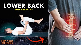 Yoga for Lower Back Pain Relief  Beginners Tension Relief Yoga Stretches backpain [upl. by Yaakov]