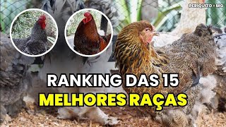 Guia Completo As 15 RAÇAS de Galinhas mais Populares para LUCRO e BELEZA – Prós e Contras [upl. by Derfniw570]