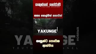 Sinhala holman katha  සිංහල හොල්මන් කතා [upl. by Shannen]