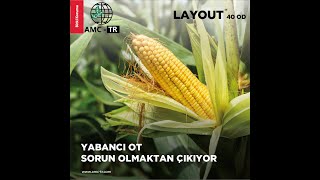 LAYOUT 40 OD ile yabancı otlar sorun olmaktan çıkıyor [upl. by Ynaffad]