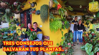 Nelycita con más de 600 PLANTAS en su encantador JARDÍN quiere más y así es como las PROTEGE AP [upl. by Beora572]