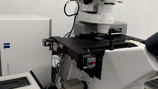 Zeiss PALM MicroBeam LCM Laser Dissection System  AXIO Observer Microscope BOSTONIND  14330 [upl. by Yaresed]