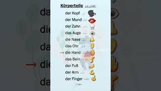 Lernen der Körperteile auf Deutsch🇩🇪📚A1ampA2 آموزش اعضای بدن به آلمانیeducation deutsch زبان [upl. by Nilyak321]