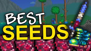 The BEST Terraria seeds 1449 [upl. by Colburn797]