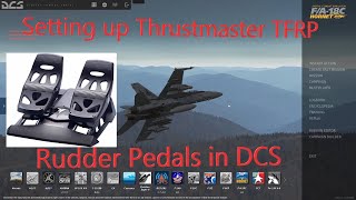 Setting up Thrustmaster TFRP rudder pedals in DCS and fixing sensitivity issues [upl. by Assek]