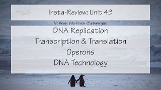 AP Bio InstaReview Unit 4B [upl. by Noell]