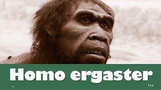 ⭐Homo ergaster 📗 aulamedia Historia [upl. by Jun]