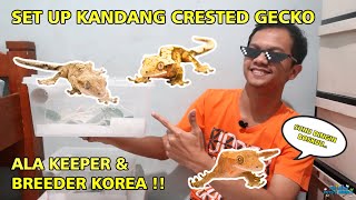 Set Up Kandang Crested Gecko SIMPLE [upl. by Dnomder455]