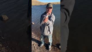 Here Is Seven Fishing At Bear Creek Reservoir In Lakewood Colorado Beautiful Ruby fishing fun [upl. by Egide248]