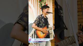 Tmi nai hau  cover by Mellow vibes  sabinrai tminaihau nepalimusic nepathya bestmoments [upl. by Ayotnahs]