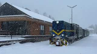 🇦🇹 Winterfahrt auf der Ybbstalbahn Bergstrecke zur funkelnden Dorfweihnacht in Lunz am See [upl. by Negaet]