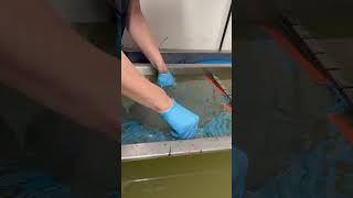 Hydro Dipping Rims satisfying hydrodipping [upl. by Latoya420]