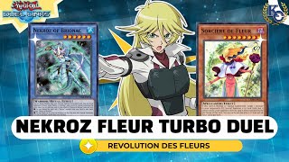 ✅📈LIMPIA EL CAMPO EN 1 TURNO  NEKROZ FLEUR YUGIOH DUEL LINKS [upl. by Osmond287]