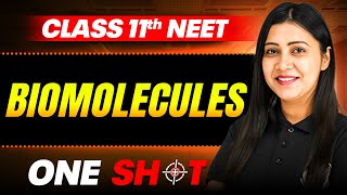 Biomolecules IN ONE SHOT  Full Concepts amp PYQ  Zoology  NEET Class 11th [upl. by Neo]