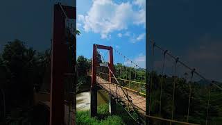 Hanging bridge Vennakkad Padanilam Calicut [upl. by Eednim]