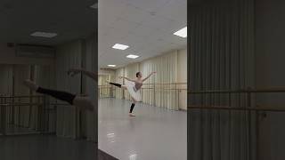 dance ballerinas ballerinadance balletdance balletlove balletlife balletclass music [upl. by Nudd902]